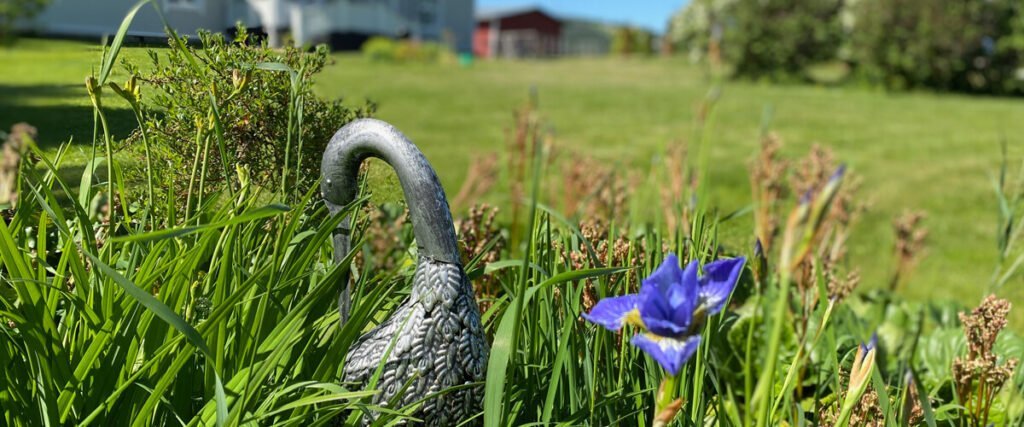 Päätin, että jos vielä jotain opiskelen, se on kalevalainen jäsenkorjaus. Se poisti minun kipuni.