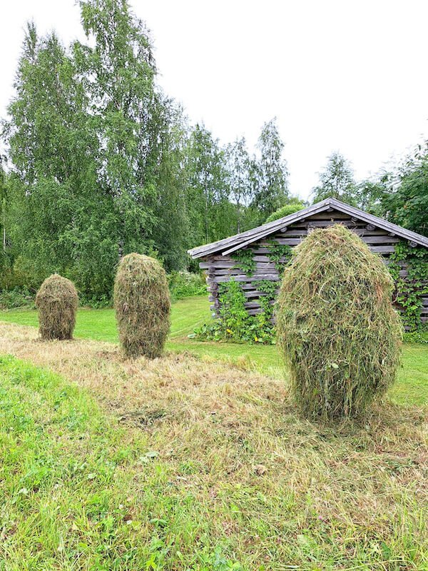 Heinäseipäät, Willa Kukkola